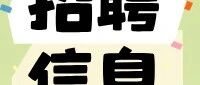 杨浦邮政2026年社会招聘