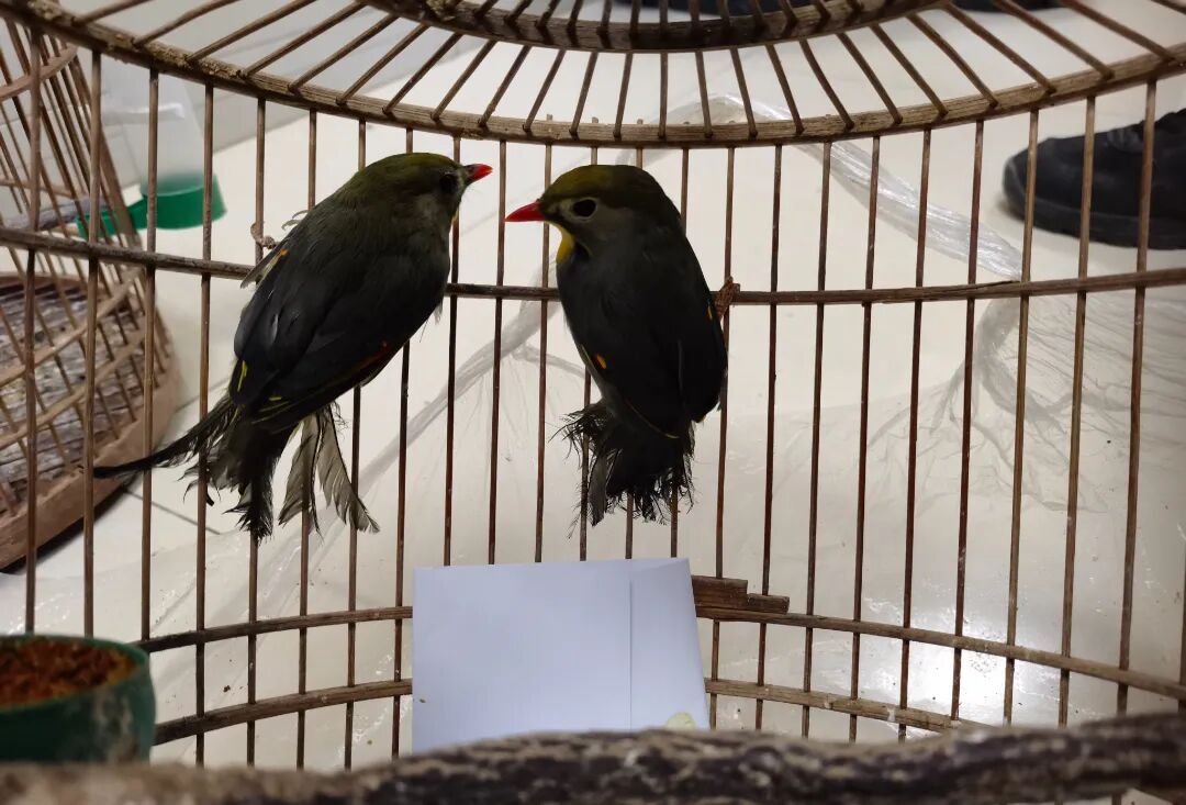 爱就一定要拥有么