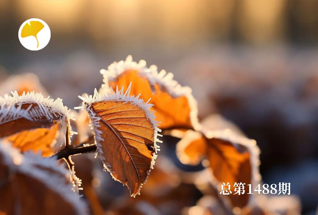 杏林早报立冬养肾关键期，2款食疗方，填肾精、固根本，预防早衰