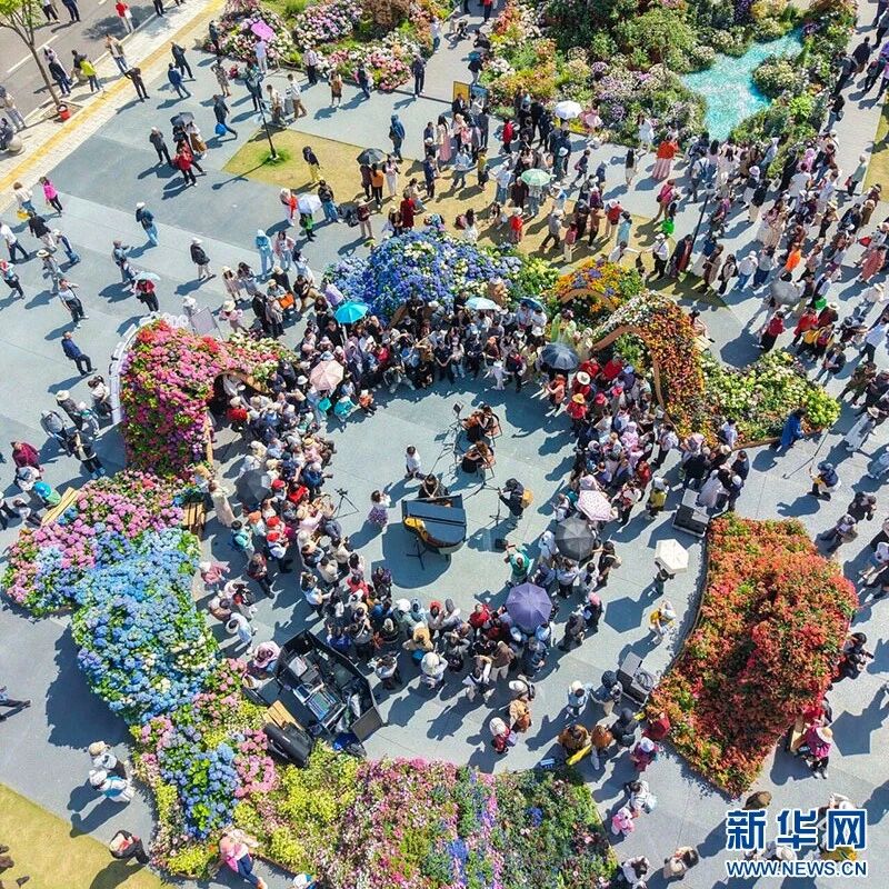 2026武汉都市圈花展引爆五一赏花游