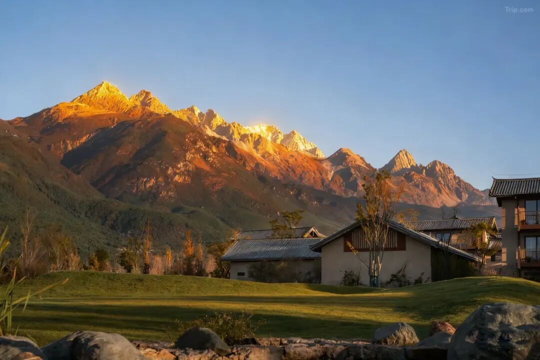 携程日航机票券200元每天10点抢 西双版纳丽江长沙安吉酒店799元起周末不加价