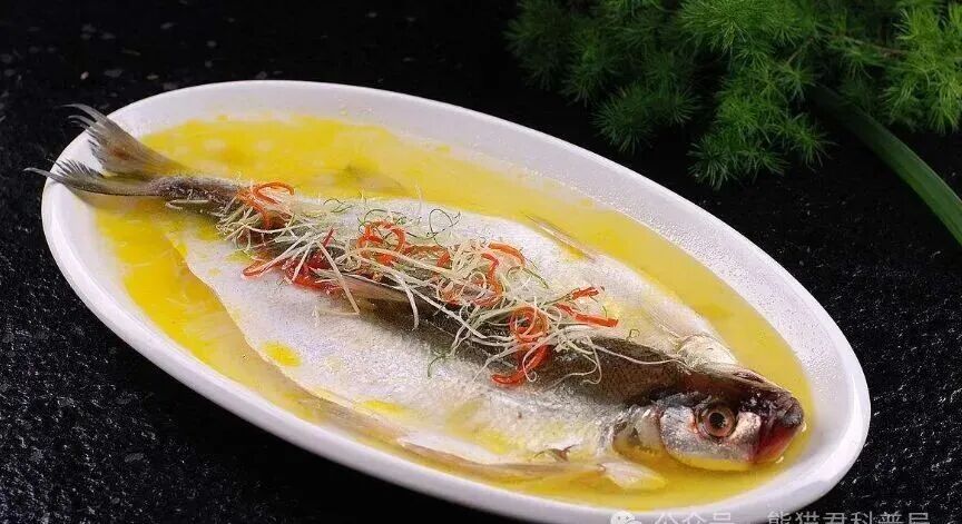 钓白条的假饵