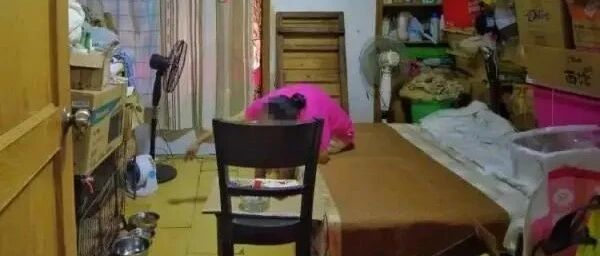 上海丨女子与39只狗同住44平米小屋！为照顾狗，她辞去高薪工作闭门不出！邻居崩溃…
