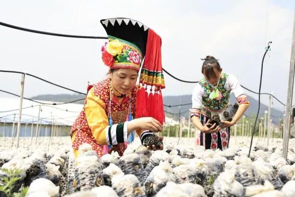 微信图片_20260408000829_71_304