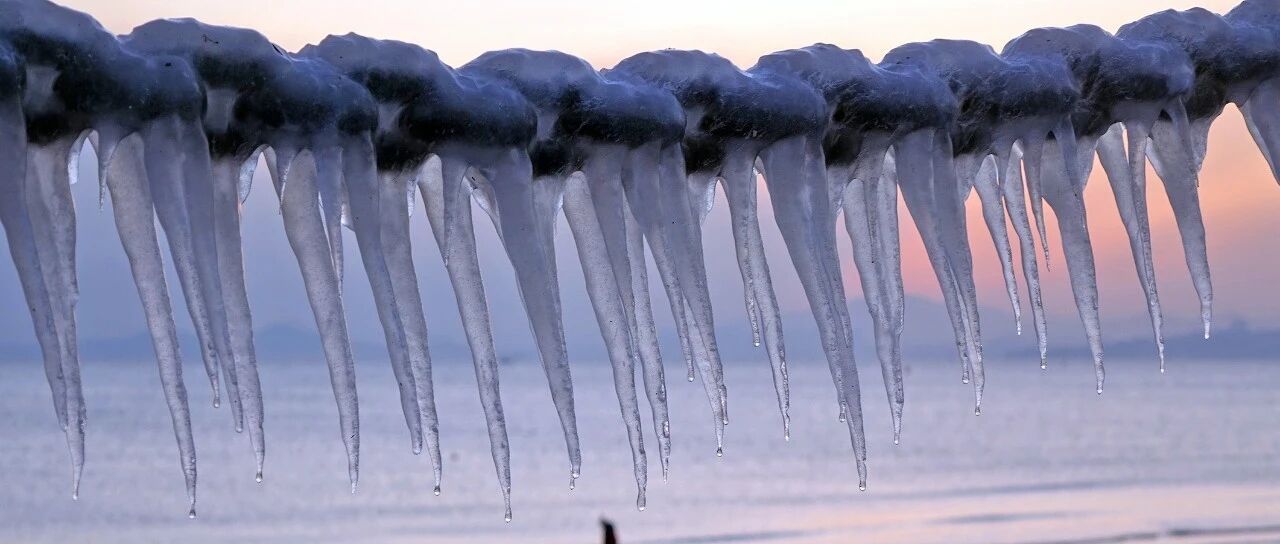 大众“挤压”民族汽车品牌，“廉价”品牌捷达市占率已达1%敲警钟 | Critic