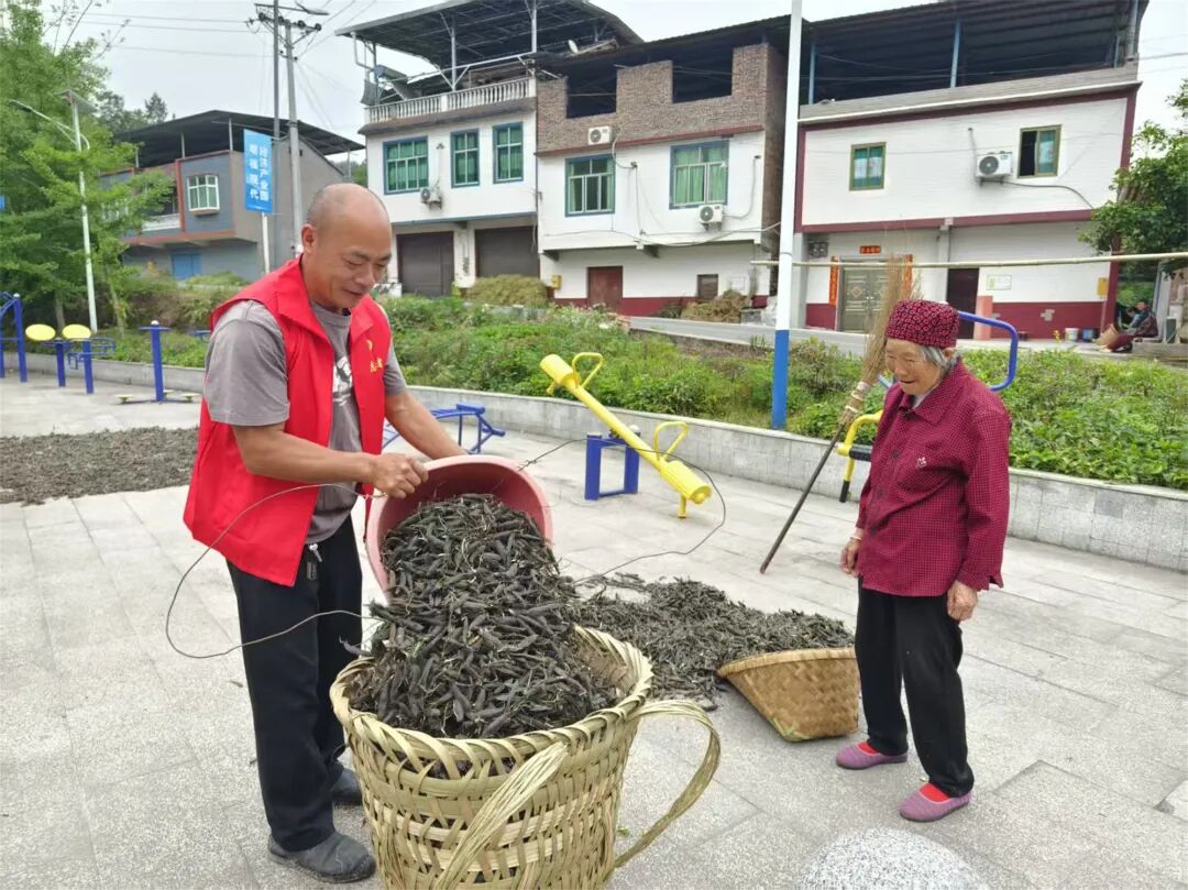 杨小华帮助留守老人收农作物