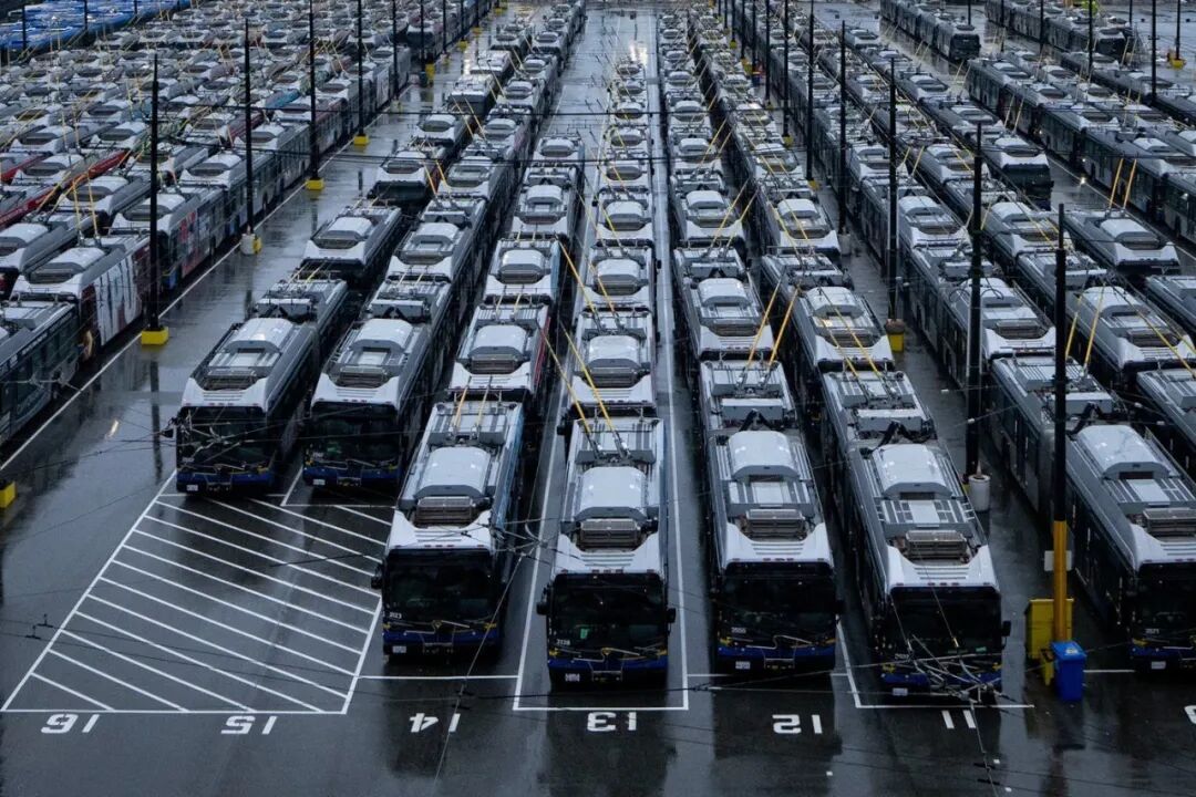 ����TransLink����Ԥ����50%��ʿ+30%�쳵��ȡ��