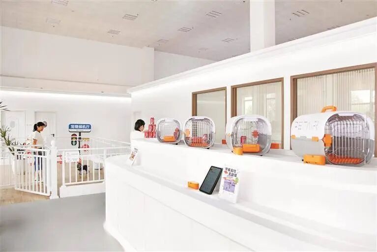 全国首家宠物候机厅来了，网友：“毛孩子”不肯走怎么办？