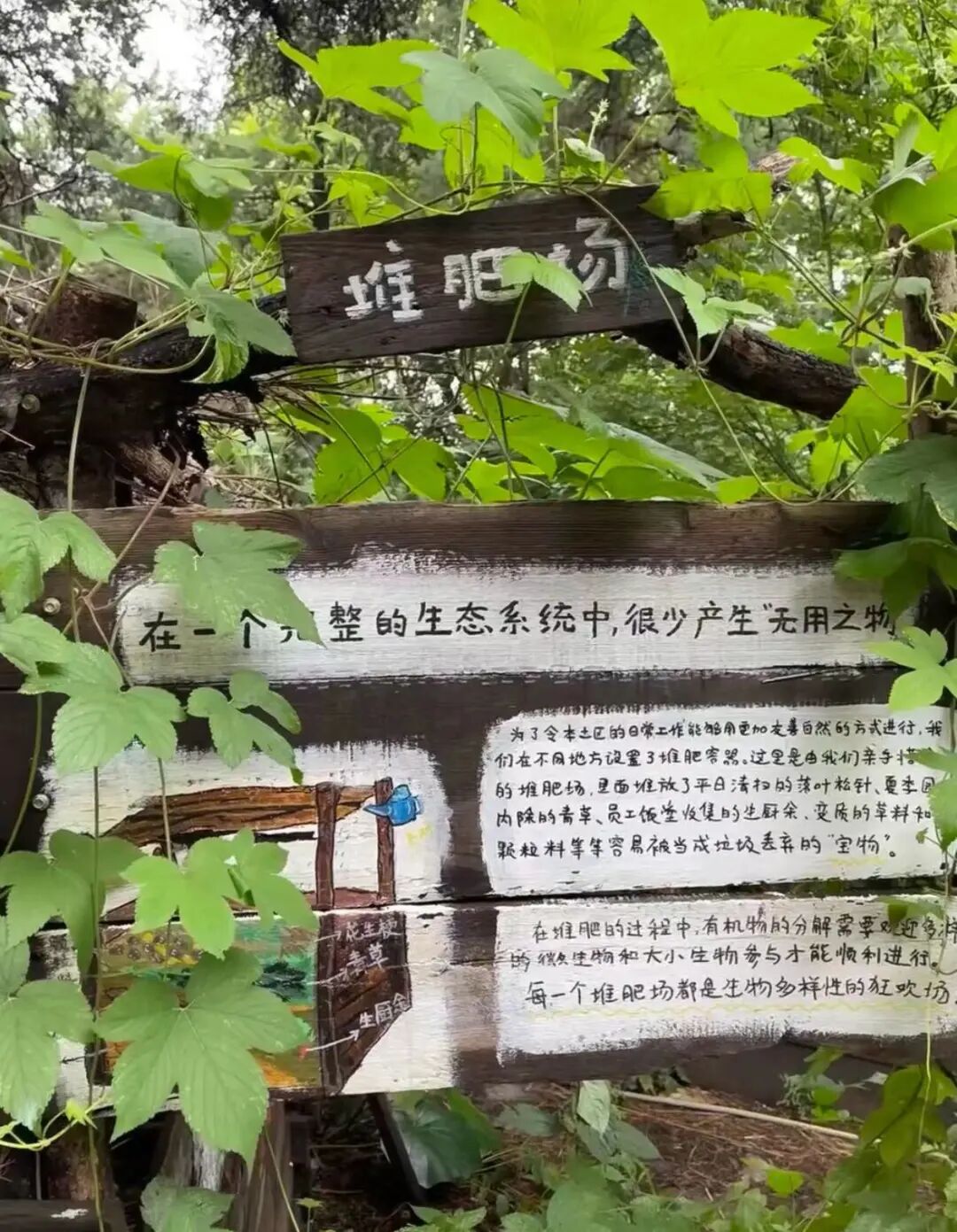 听说现在流行逛动物园？热度堪比迪士尼