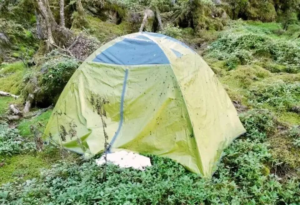 “00后”驴友贡嘎大环线徒步，失联近2月