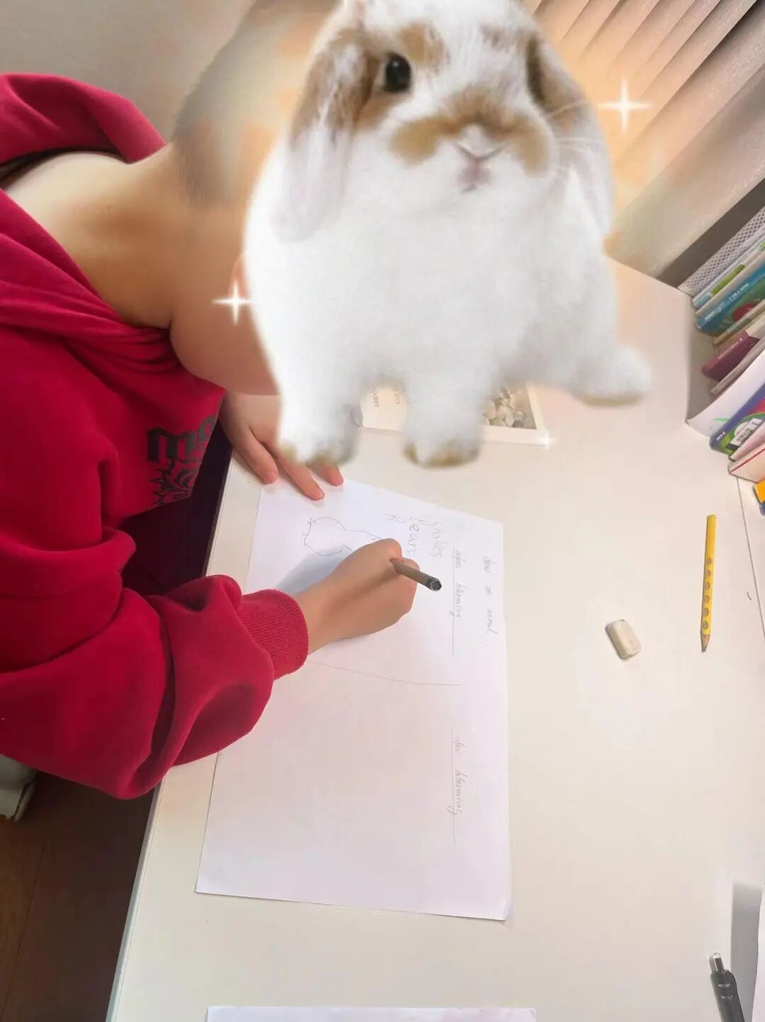 儿童成长陪伴师讲述：像“外包父母”，普遍可月入过万