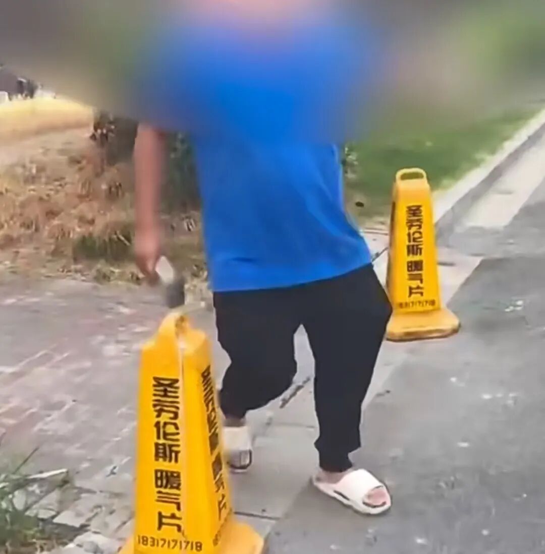 宠物狗对车轮撒尿引车主拾砖怒砸，居委会称派出所已介入 律师：狗主人应积极道歉