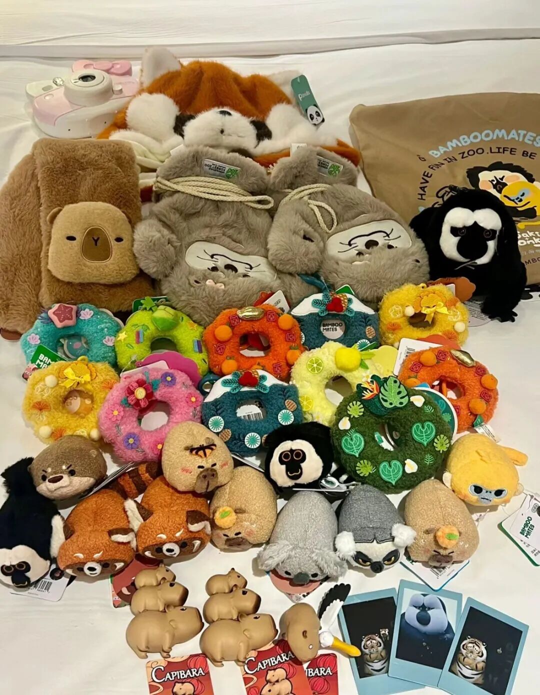 听说现在流行逛动物园？热度堪比迪士尼