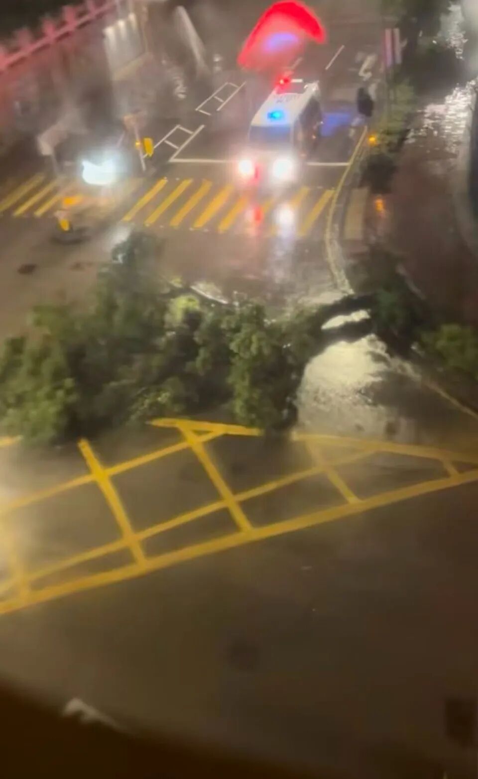 香港网友称高楼摇晃如坐船
