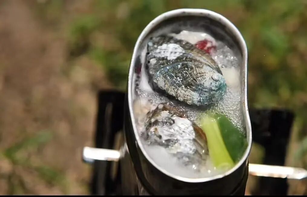 听说年轻人流行起了Wildeat？