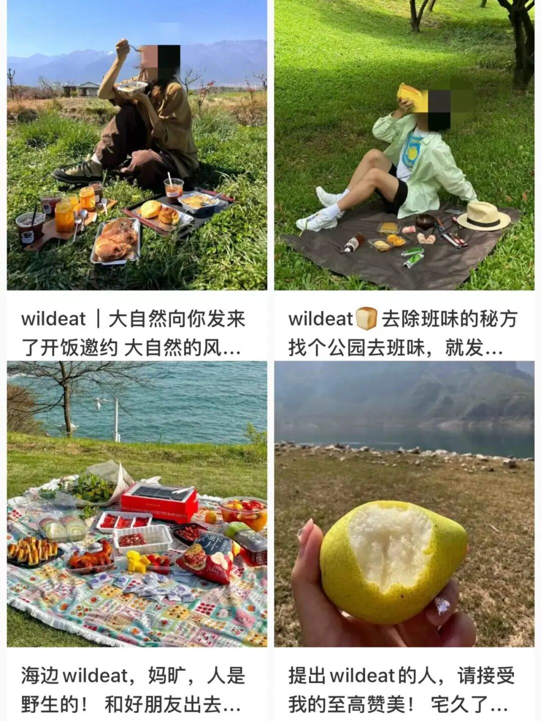 听说年轻人流行起了Wildeat？