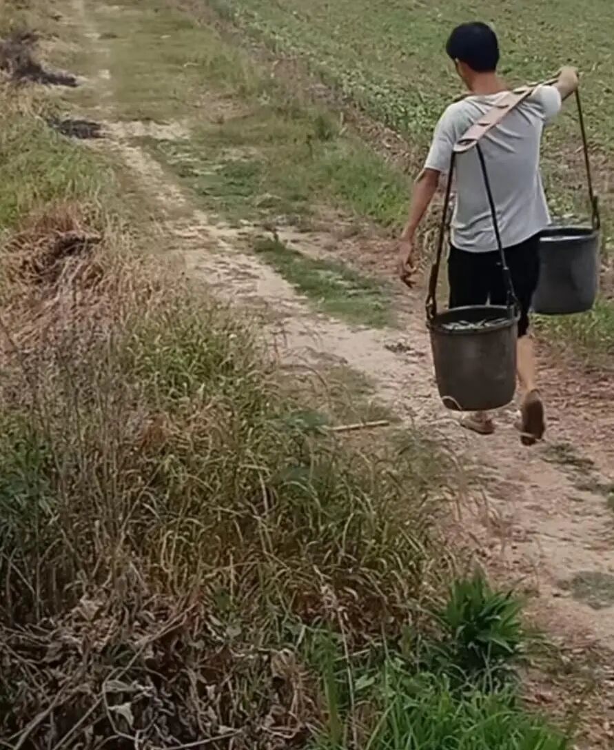 一个月涨粉30万，“95后”博主回农村教人种地走红