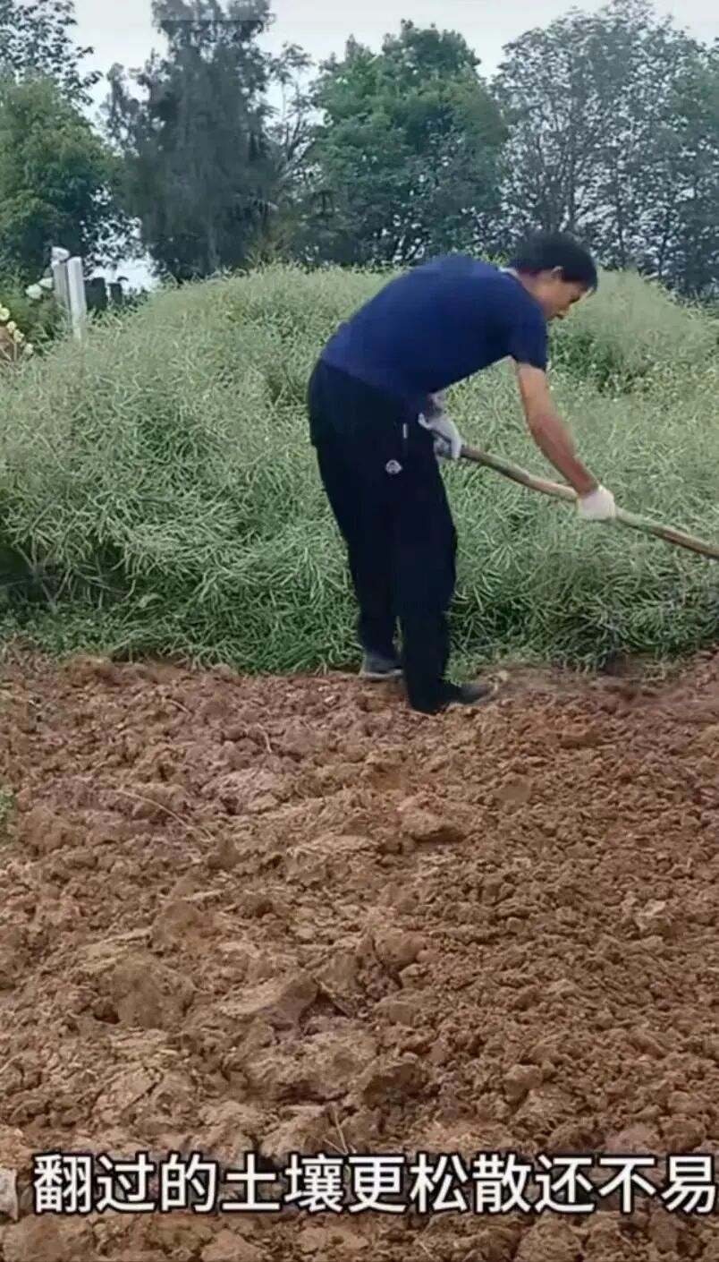 一个月涨粉30万，“95后”博主回农村教人种地走红