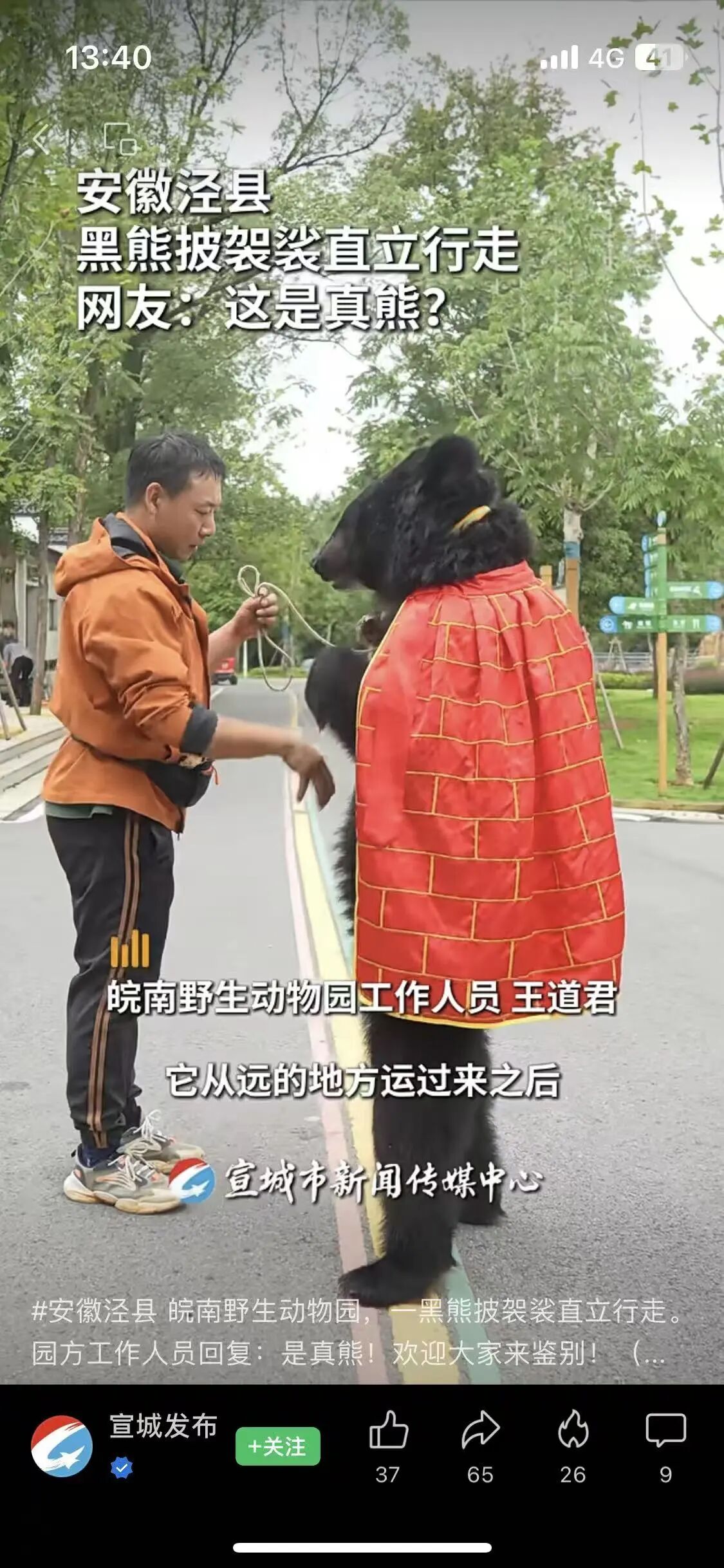 熊披袈裟站立被质疑