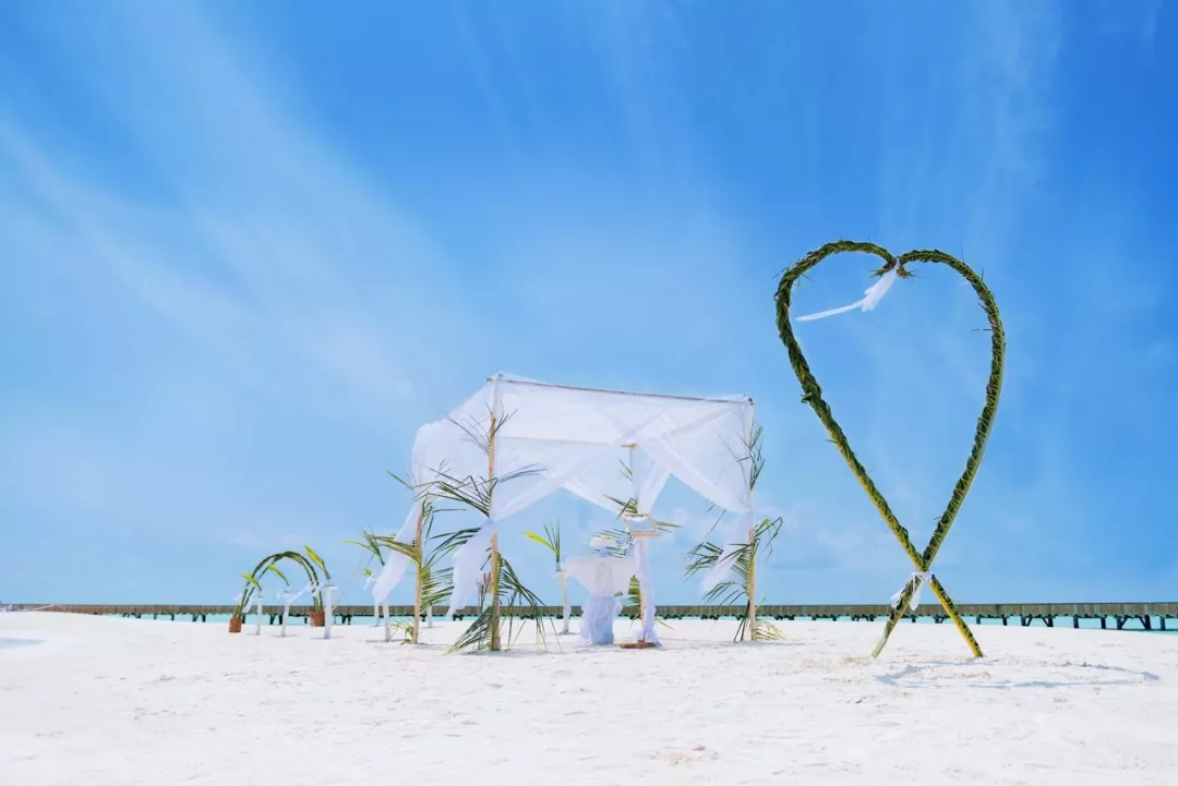 蓝莓评测 | 2020全球最佳海岛婚礼评测-蓝莓评测