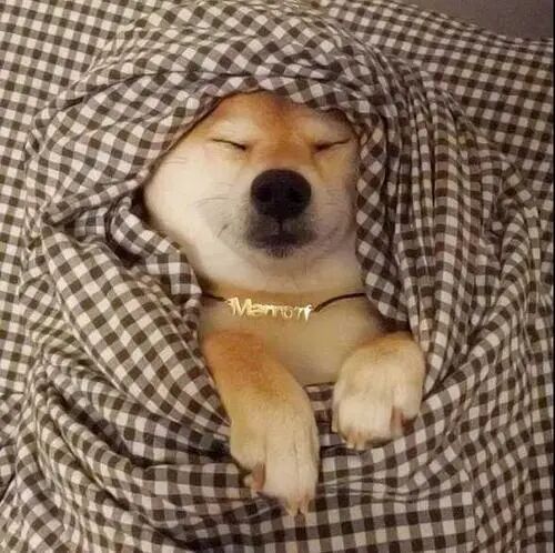 床笠是什么意思_床笠念什么_床笠是什么字