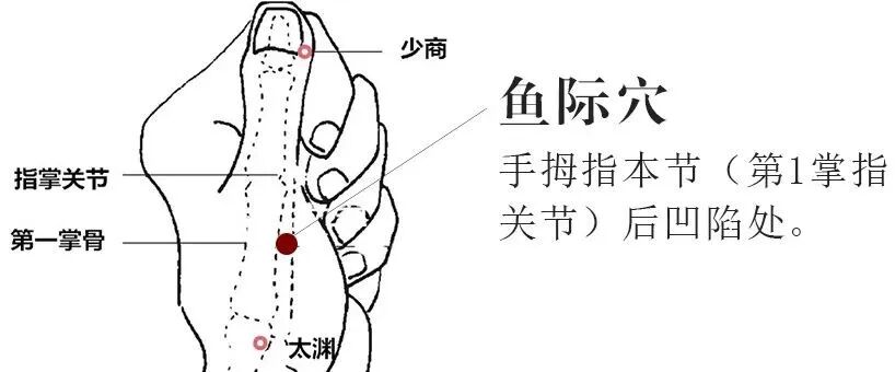 方法:右手大拇指按揉左手大鱼际部位,按揉至手掌发热,然后换手按揉