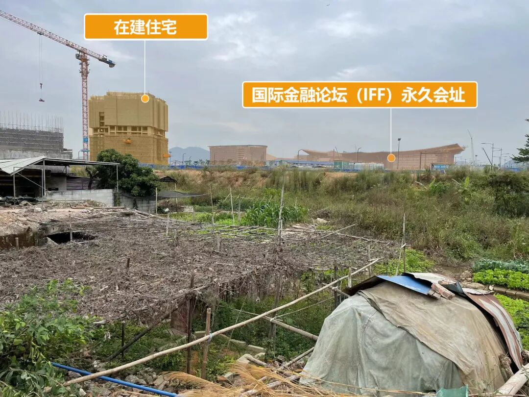 实探！横沥岛留守村民，为何不搬？