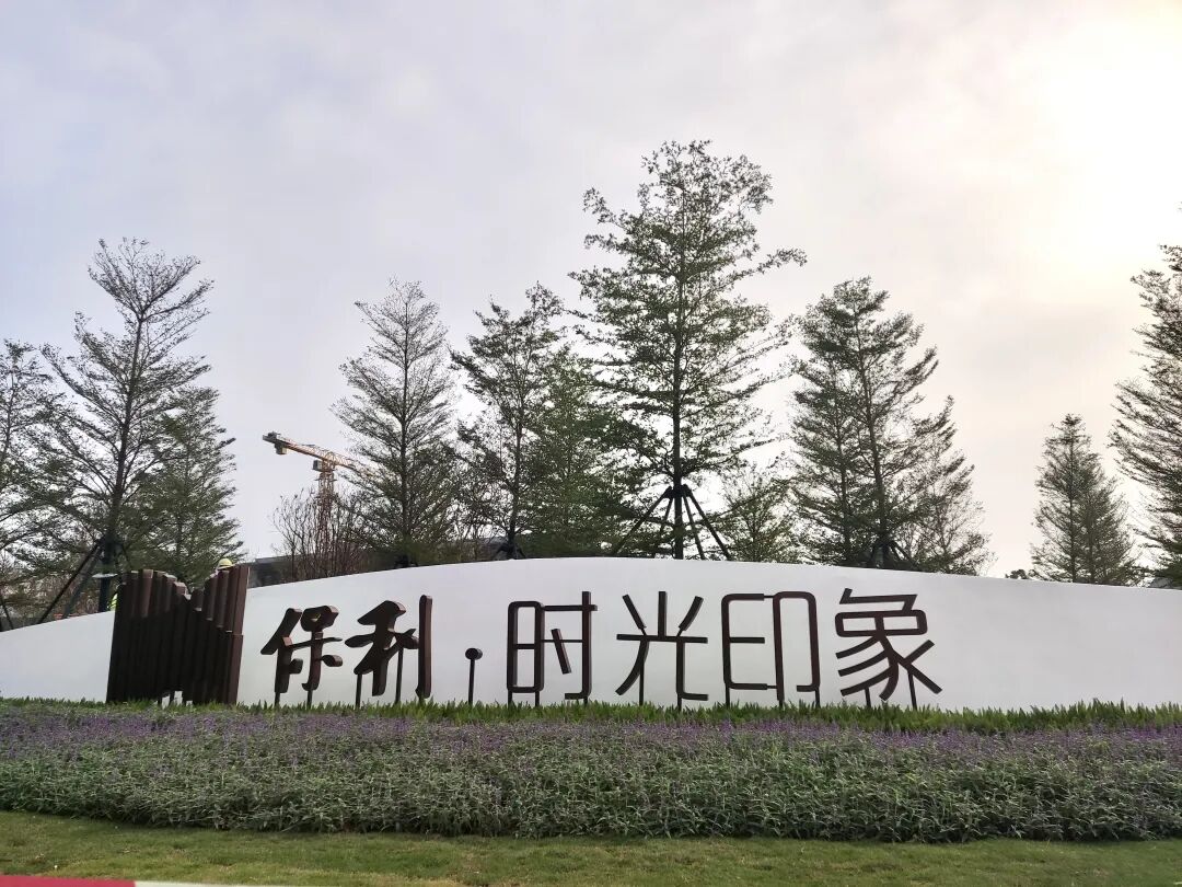 三房130万？实探保利金洲新盘，全南沙一二手瑟瑟发抖