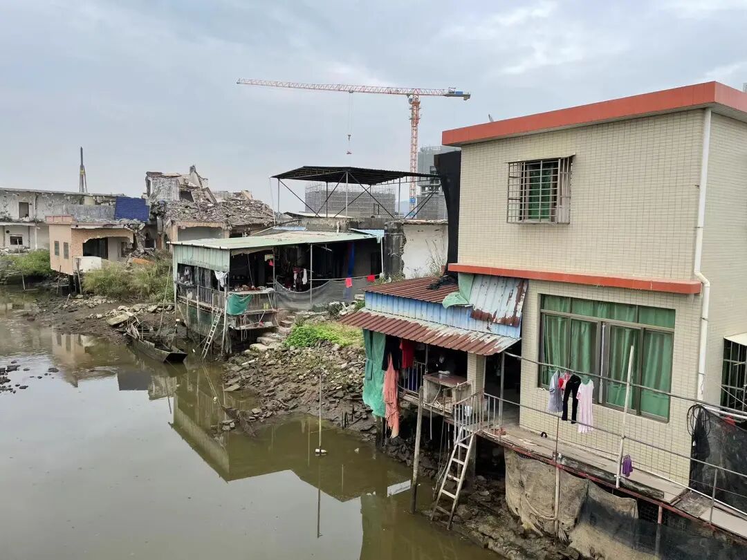 实探！横沥岛留守村民，为何不搬？