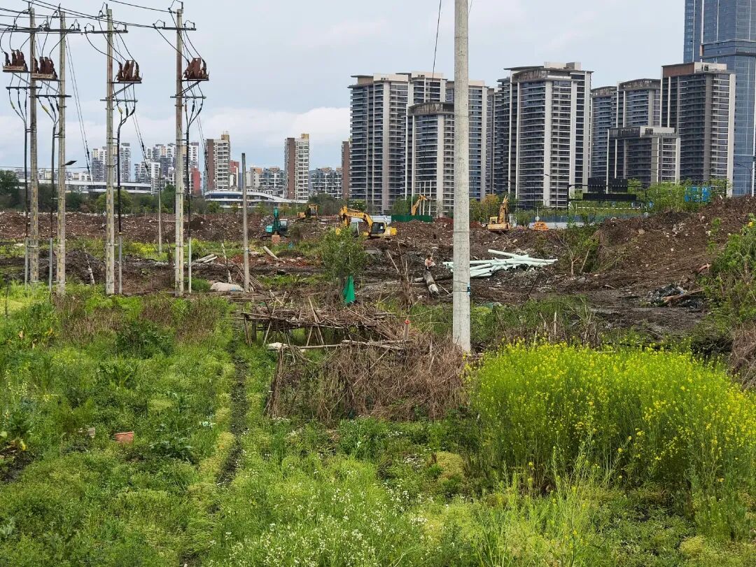 挂牌很急货值超百亿绿汀路上的低碳国际未来社区亮相