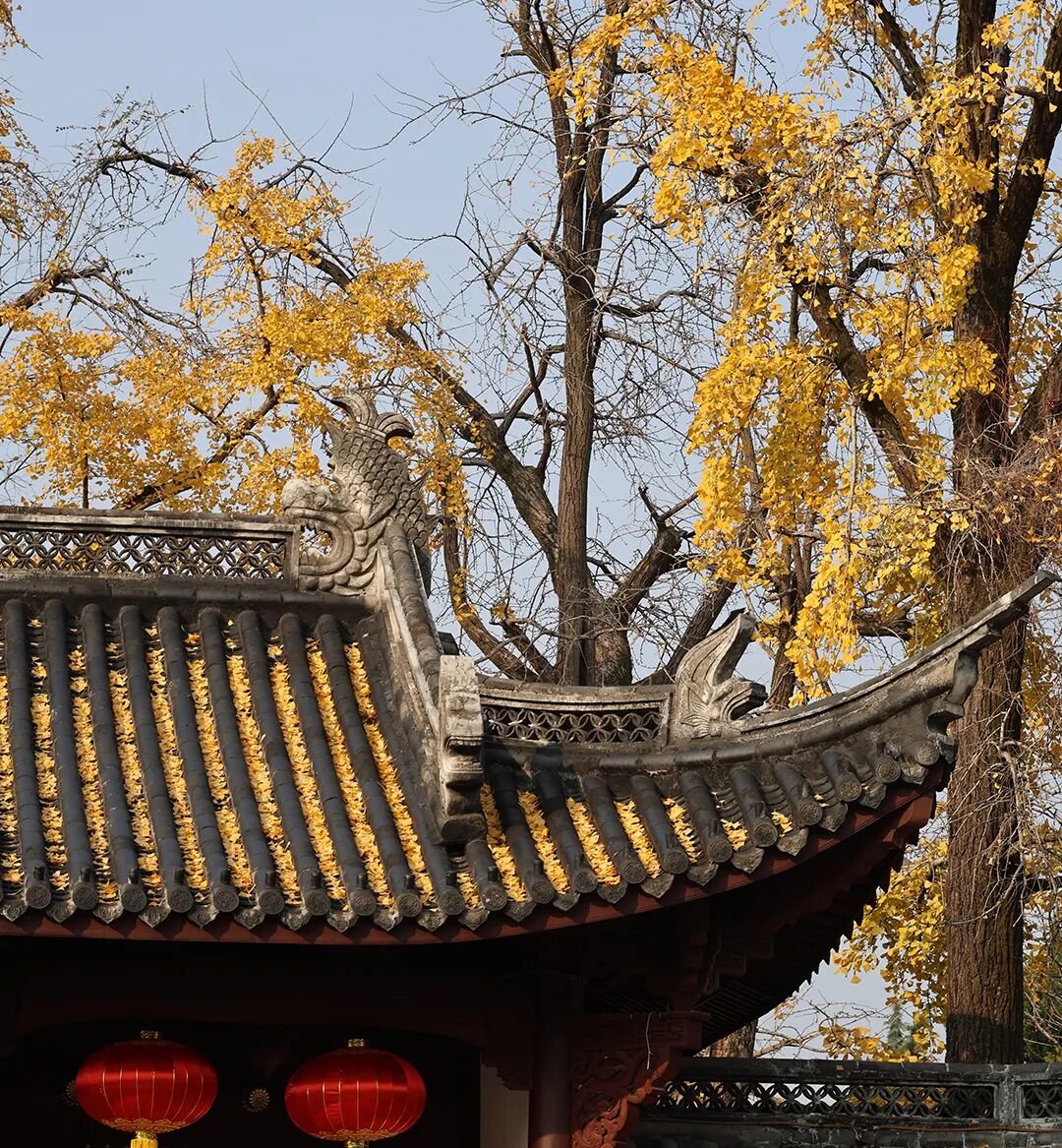 采血管颜色代表什么惠民科普 ｜  血液化验  采血管为什么是“五颜六色”的？_https://www.jmylbn.com_新闻资讯_第10张