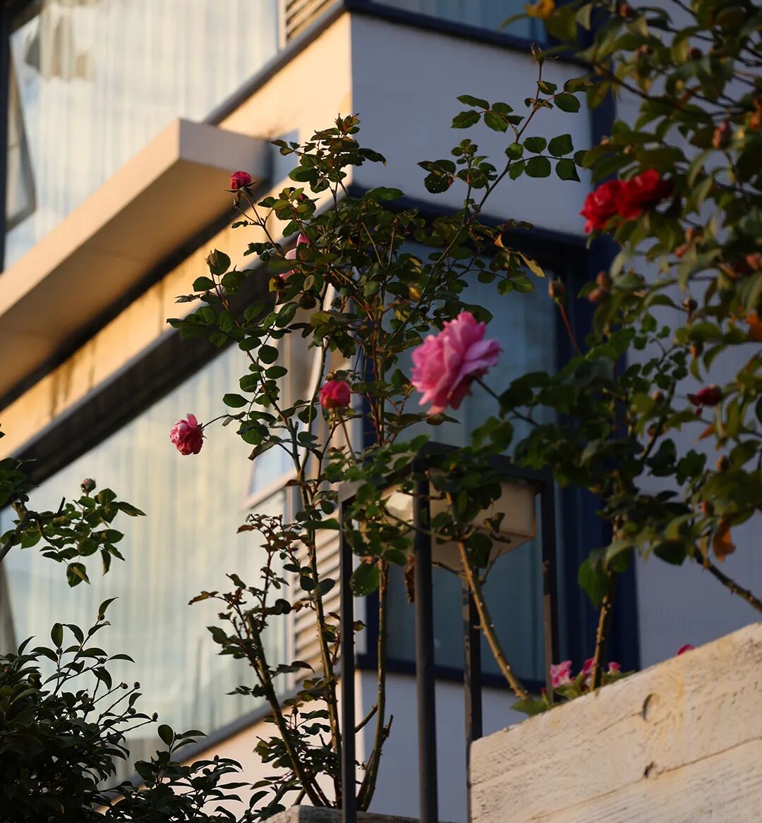 采血管颜色代表什么惠民科普 ｜  血液化验  采血管为什么是“五颜六色”的？_https://www.jmylbn.com_新闻资讯_第4张