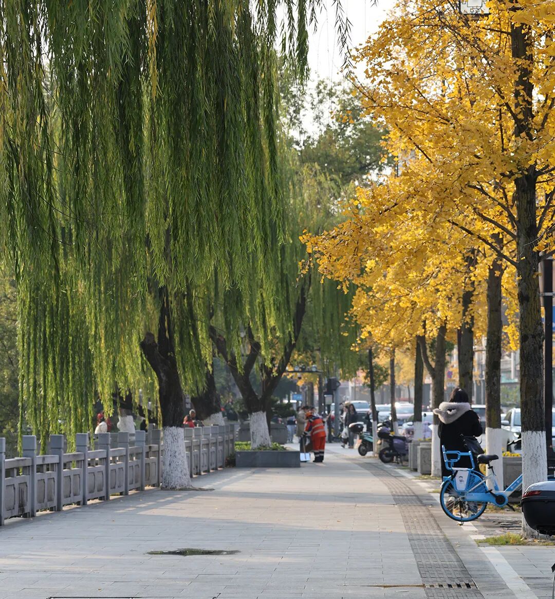 采血管颜色代表什么惠民科普 ｜  血液化验  采血管为什么是“五颜六色”的？_https://www.jmylbn.com_新闻资讯_第2张