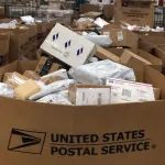 加州华人伪造邮单，偷寄900万个包裹被抓！