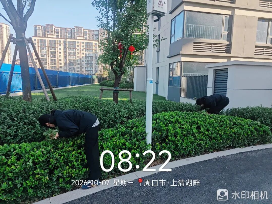 鹿邑德鸿·上清湖畔丨十月第二周物业工作简报