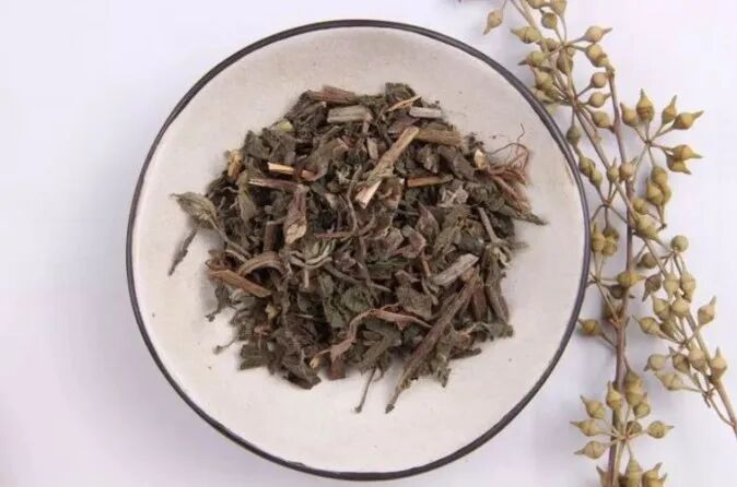 墨旱莲——隐藏在路边的中药，补肾乌发又止血