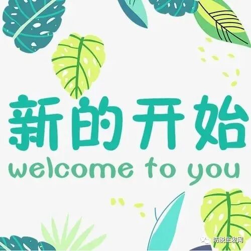 脱发怎么调理头发才能长出来