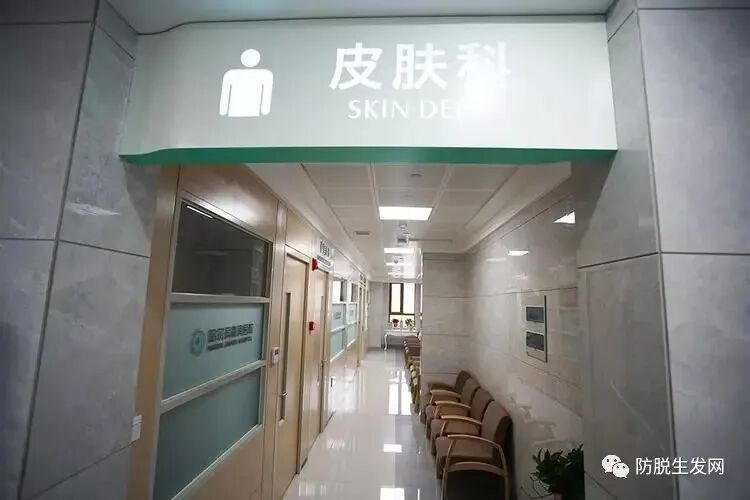 脱发去医院挂什么科