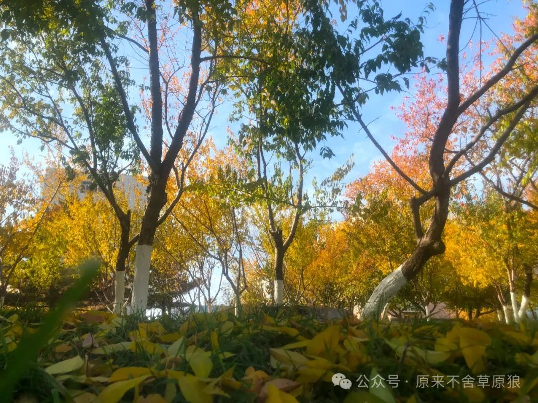 土豪为什么叫土豪