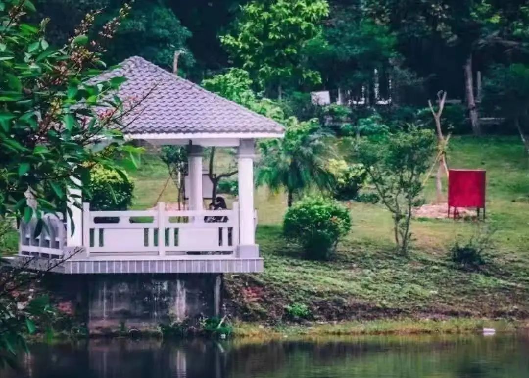 廣州城建技術學院的分數線_廣州城建職業學院分數線_廣州城建職業學院分數線