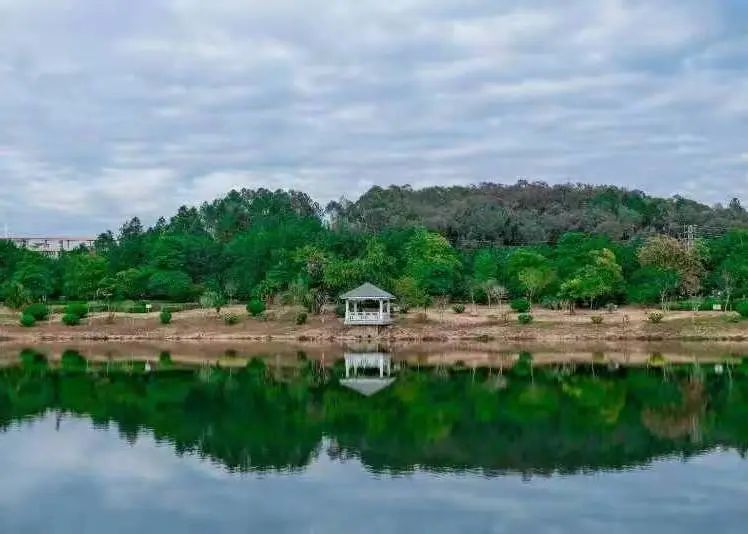 廣州城建職業(yè)學院分數(shù)線_廣州城建技術學院的分數(shù)線_廣州城建職業(yè)學院分數(shù)線