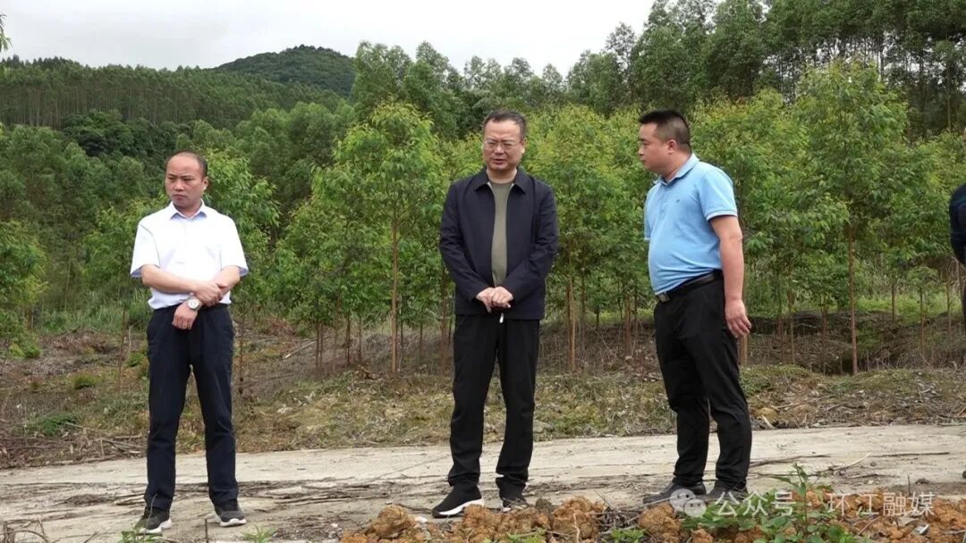 保护工作 - 新闻发布 - 广西河池市环江毛南族自治县人民政府门户网站