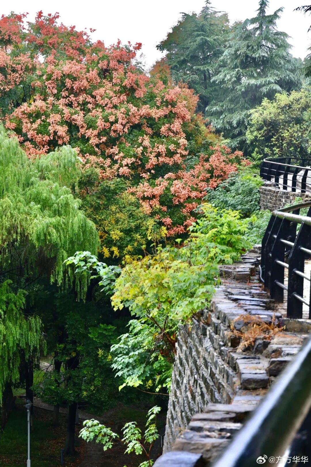 石头城1.jpg