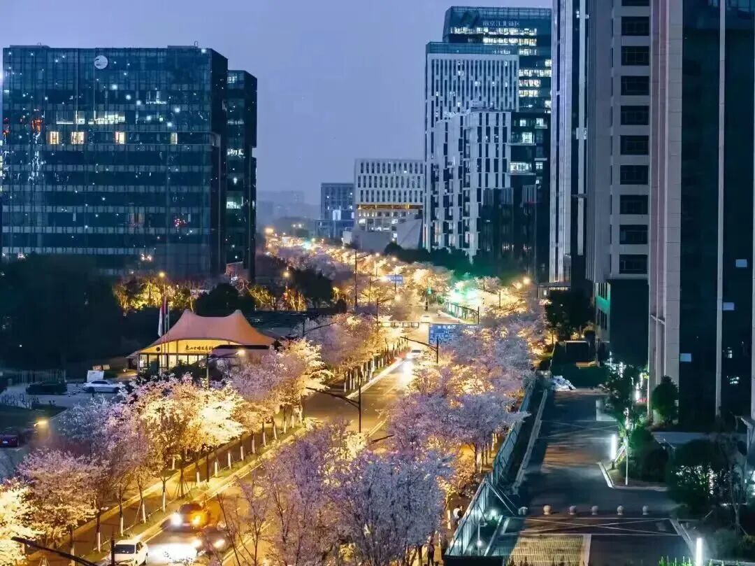 微信图片_2026-03-28_085640_972.jpg