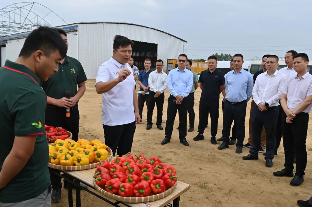 合浦县第十三届县委常委会召开第104次会议