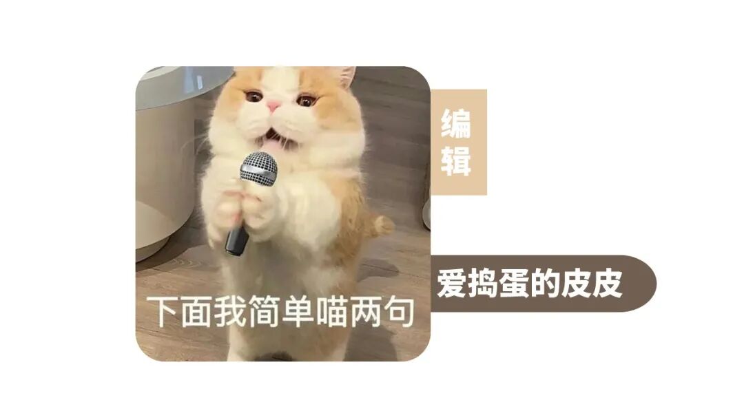 猫妈妈洪水中叼着小猫绝处求生
