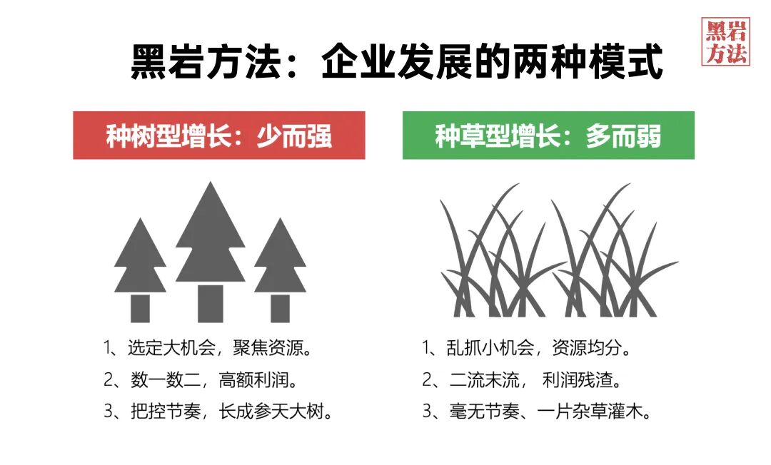 黑岩客户动态：增长400%登顶第一，拆解盐津铺子大魔王从0到1的战略密码(图8)