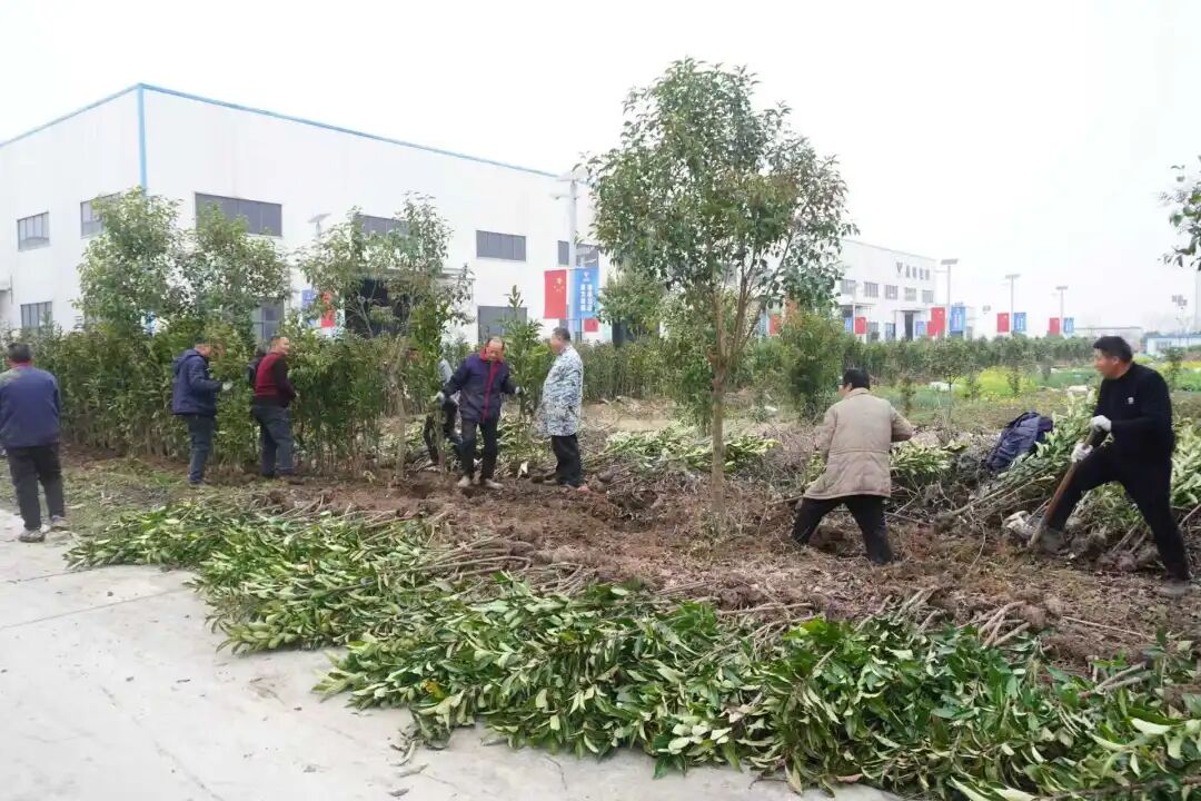 植树添绿意，献血传爱心——这个植树节，我们这样过！