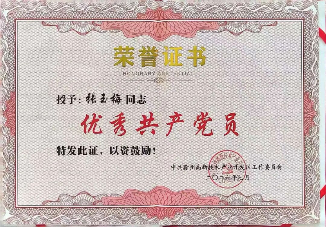 晶锋集团在滁州高新区“两优一先