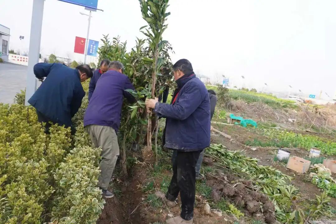 植树添绿意，献血传爱心——这个植树节，我们这样过！